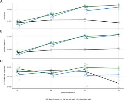 Repeated harvest enables efficient production of VSV-GP